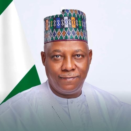 His Excellency, Vice President Kashim Shettima (GCON)
